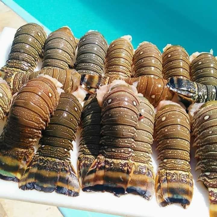 Águas Belas Pousada A Vida E Bela מראה חיצוני תמונה